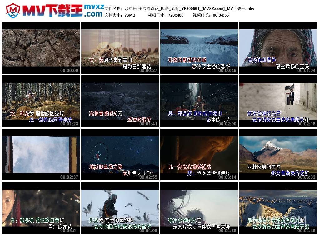 水中乐-圣洁的莲花_国语_流行_YF800561